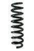 SPIDAN 86882 Coil Spring